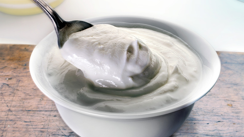 A spoon dipping into a dish of Greek yogurt