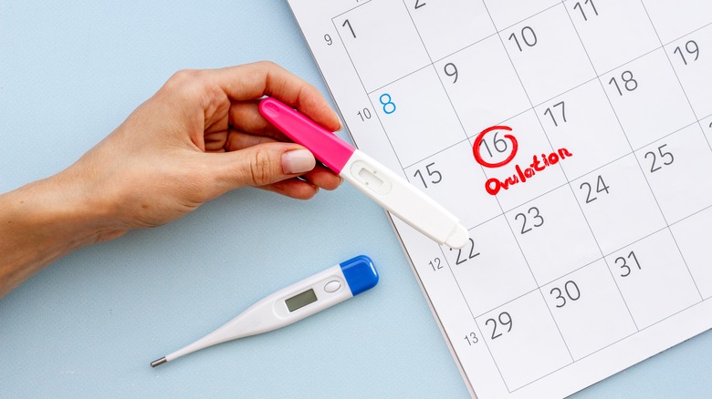 hand holding pregnancy test with calendar 