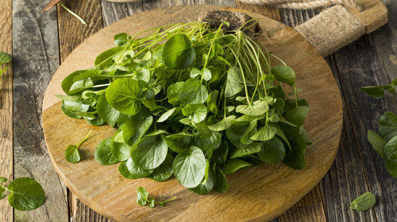 bundle of watercress on a cutting board