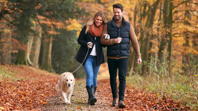 couple taking their dog for a walk in autumn