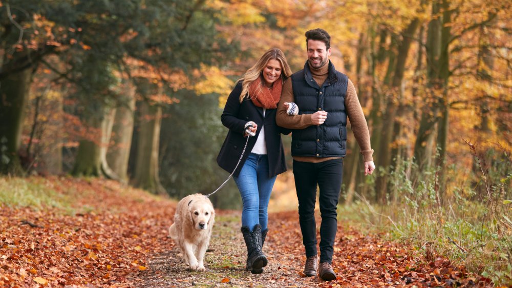 Couple walking with their dog