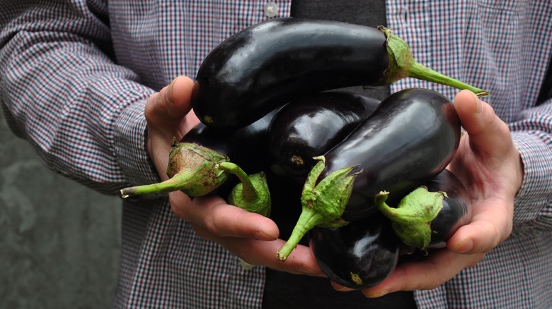 a person holding a handful of eggplants 