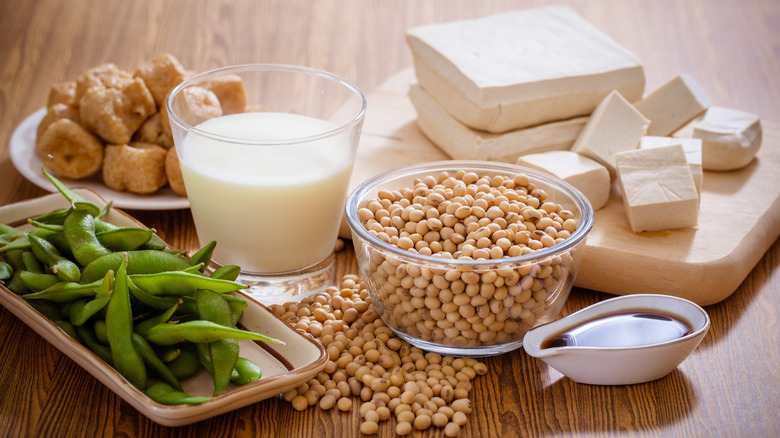 tofu, edamame, soy milk, and other soy foods on a table