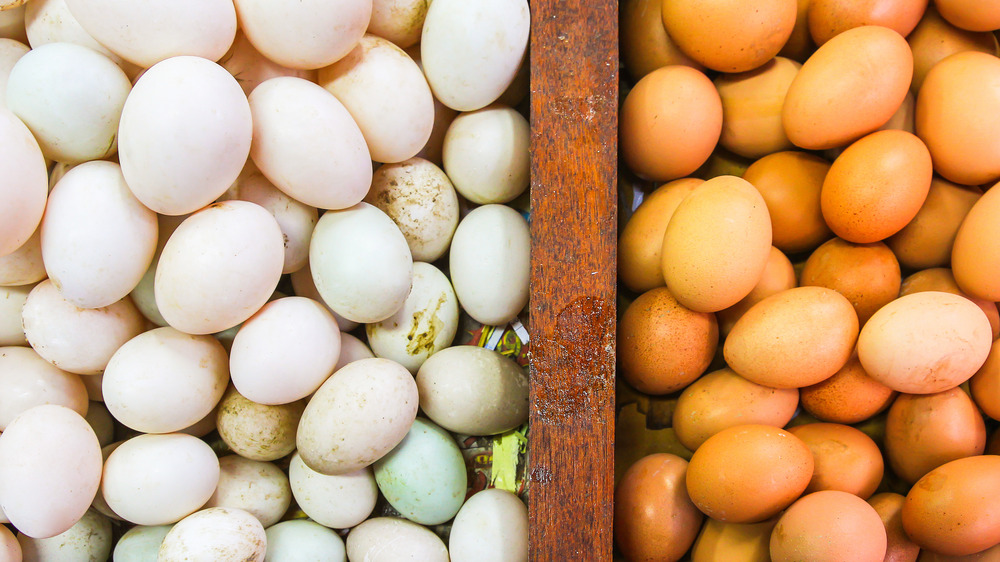 Duck eggs and chicken eggs separated by white and brown