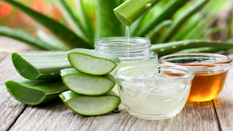 aloe vera leaf gel