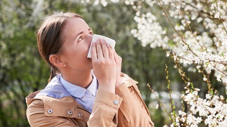 woman with seasonal allergies sneezing 