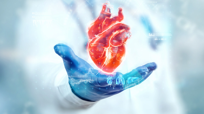 Healthy heart in doctor's hand