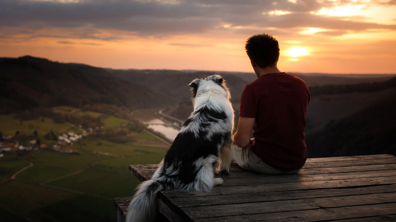 man watching sunset with dog