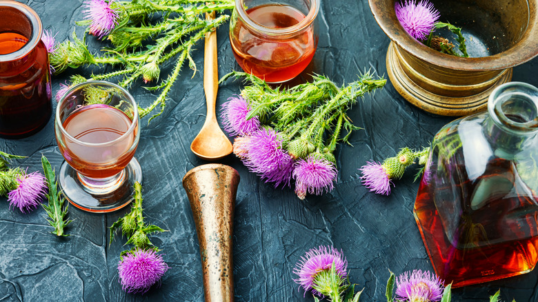 Milk thistle plant with extracts