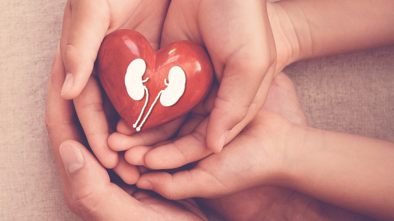 Heart with kidney picture