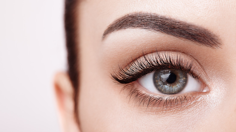 Close-up of a woman's eye and eyelashes