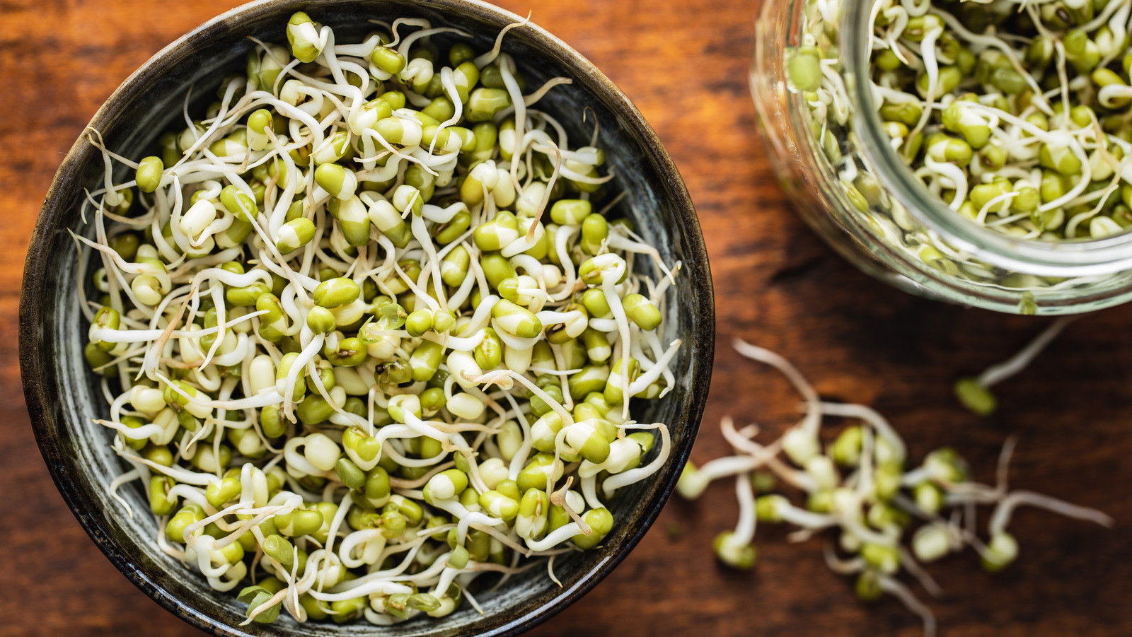 Can We Eat Raw Sprouts Daily