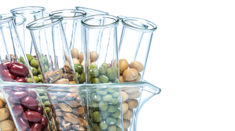 Wheat kernels in test tubes against a white background