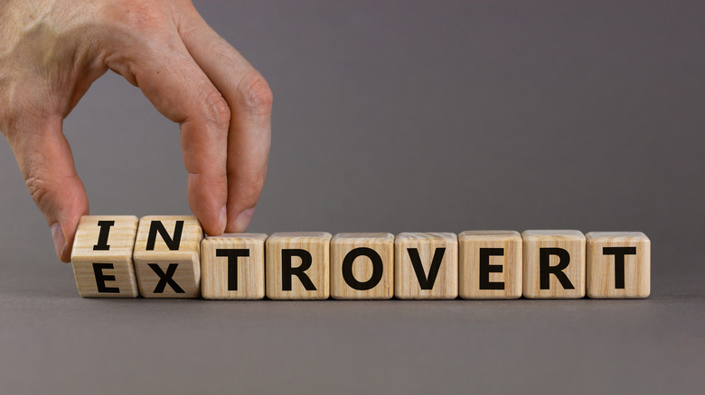 introvert extrovert puzzle