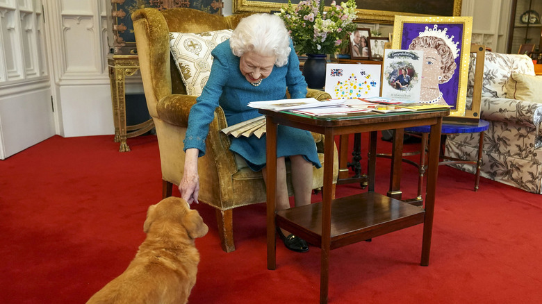 Queen Elizabeth with her dog