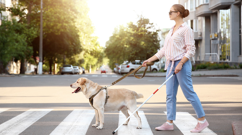 blind woman with guide dog crossing street
