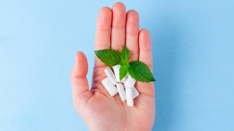 white chewing gum in a hand