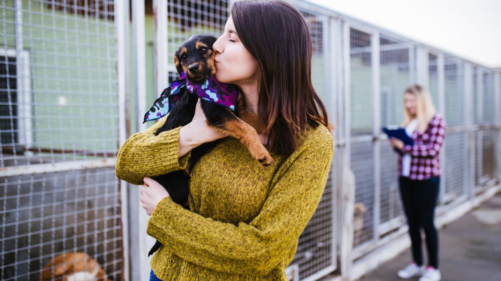 Woman adopting shelter dog