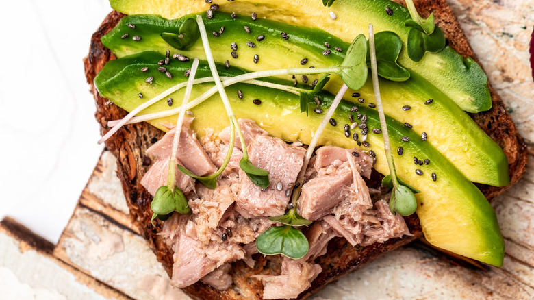 tuna sandwich with avocado