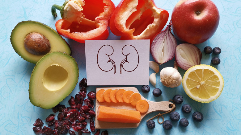 Drawing of kidneys surrounded by foods promoting kidney health