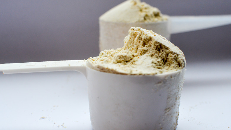 Close-up of protein powder in a scoop