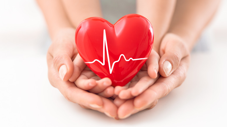 Person holding a heart model in her hands