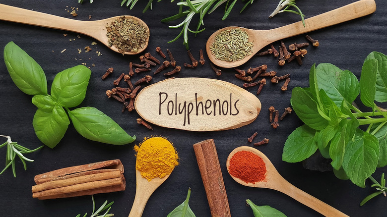 herbs and spices around polyphenols sign