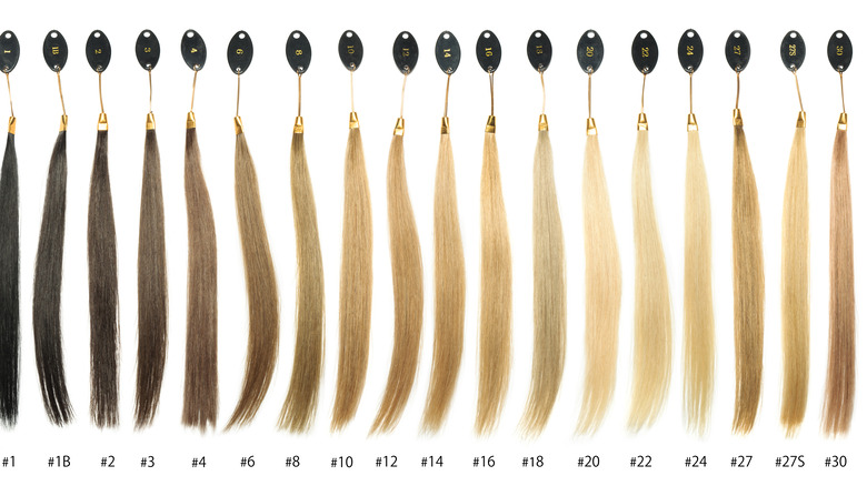 range of hair swatch colors 