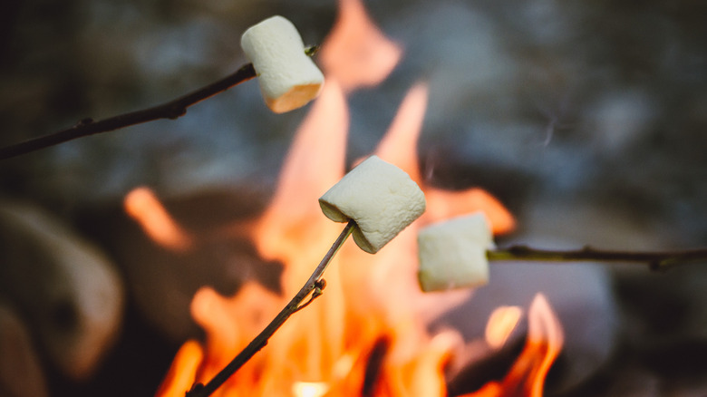 marshmallows being roasted over a fire