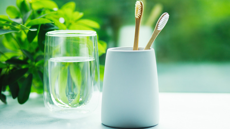 Toothbrushes in a cup