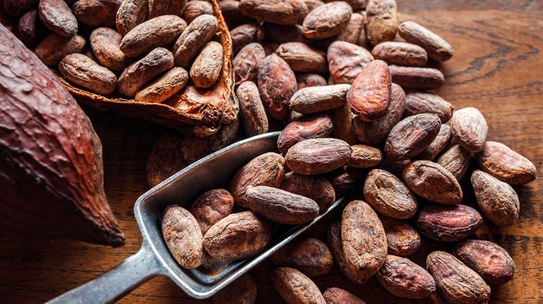 A metal scoop with some cacao beans on a wooden table