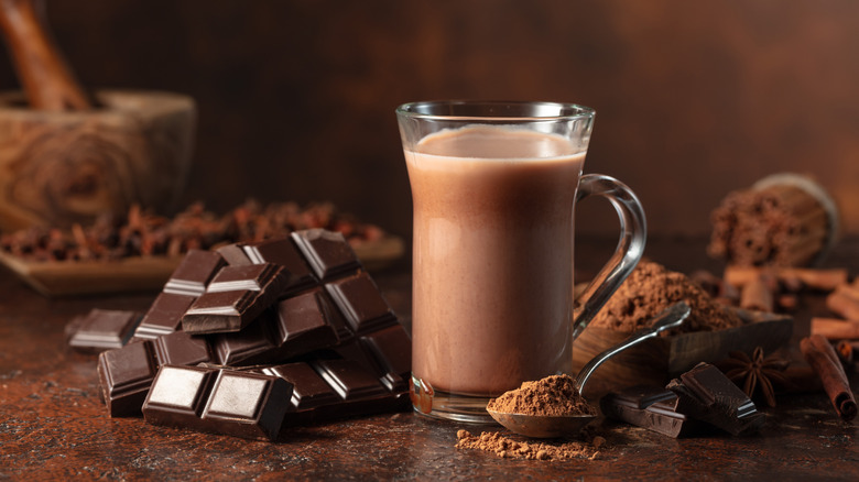 A glass of hot cocoa surrounded by chocolate and cocoa powder