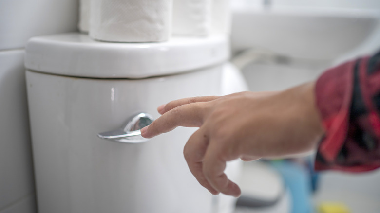 man flushing toilet in bathroom