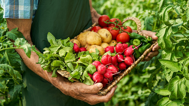 man holding basket of vegetables