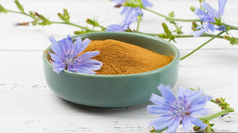 A bowl of chicory root powder with blue chicory flowers