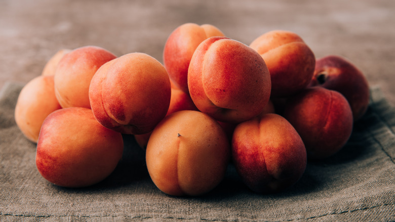 A group of apricots on a cloth mat