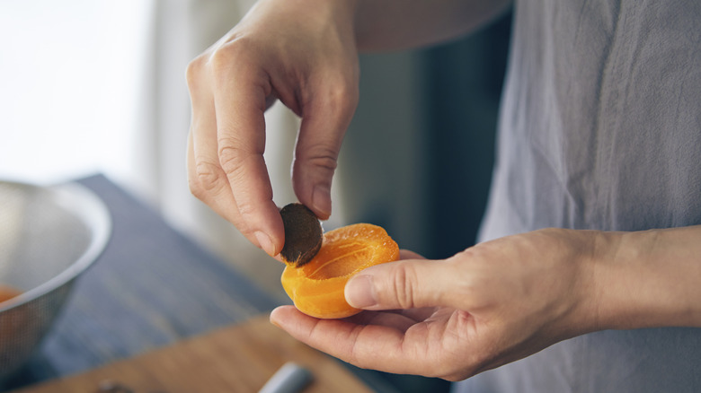 A hand pulls out the pit of an apricot