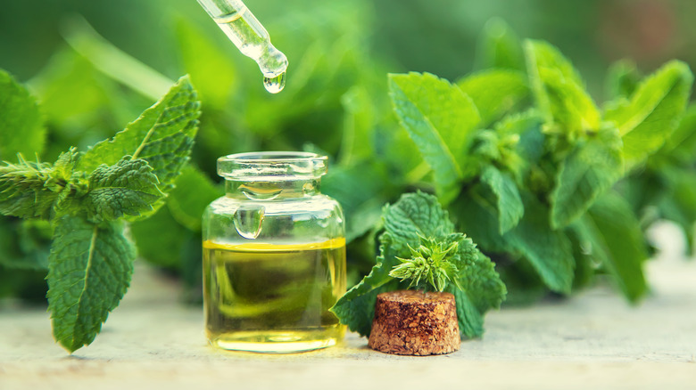 peppermint oil