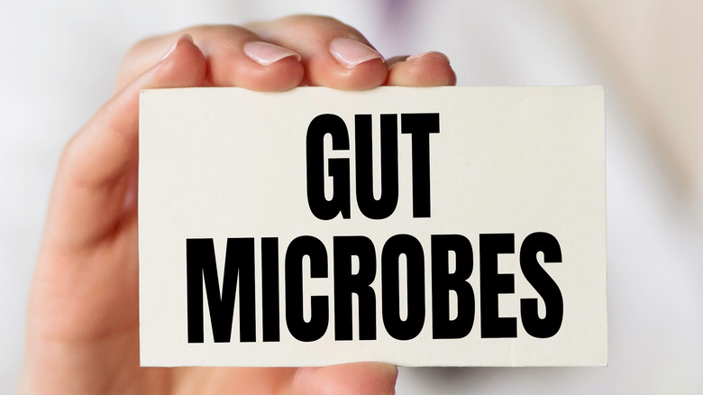 gut microbiome concept