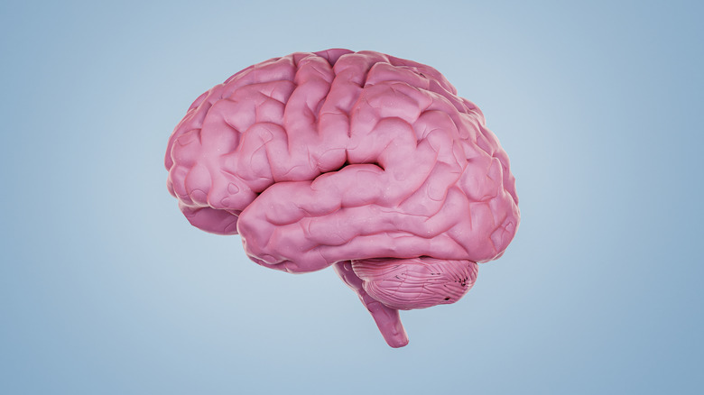 digital image of pink brain