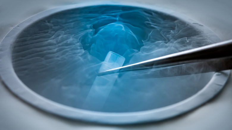 Pair of forceps holding a test tube submerged in cryopreservation