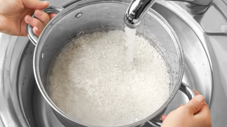 rice in pot of water
