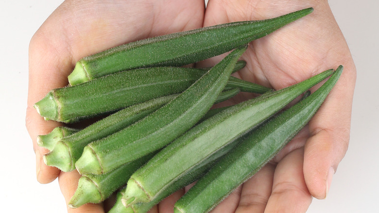 hands holding okra