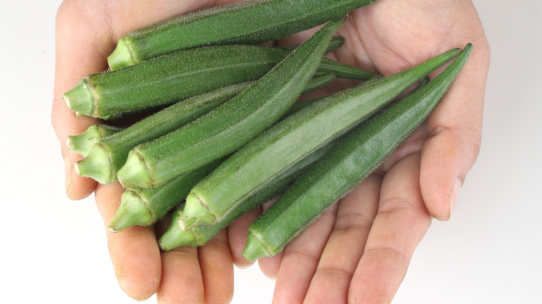 hands holding okra