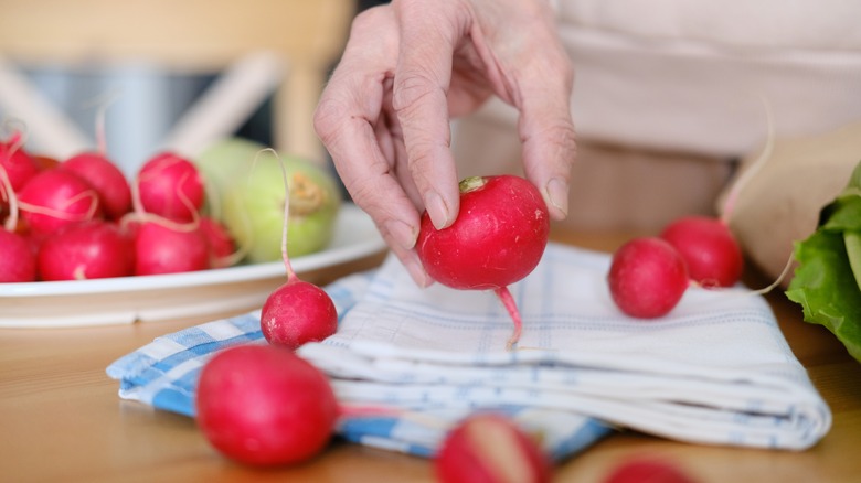 A woman's hand holding a radish over a dish cloth