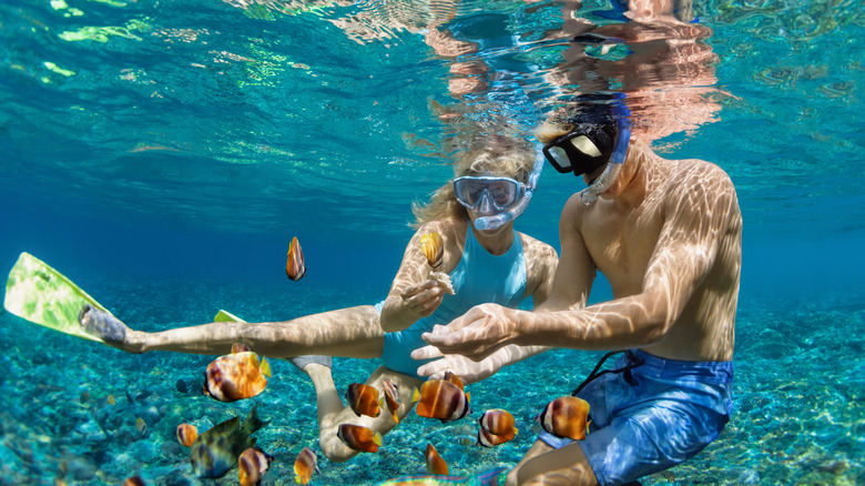 snorkeling pitcairn islands