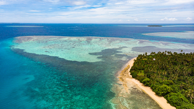 tonga aerial view ocean