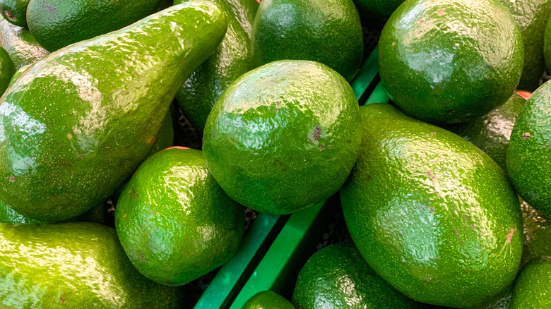 Large ripe avocados sitting on a supermarket shelf