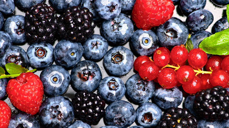 Different types of berries