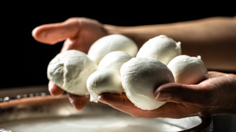 Person showing freshly made mozzarella cheese